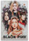 Blackpink Deko, Motiv: Schauspieler, Stern, Sportler, dekoratives Poster, Leinwand-Dekoration, Druck, Ölgemälde, Rap-Stern, Wohnzimmer, Heimdekoration, 30 x 45 cm, ungerahmen-style-41