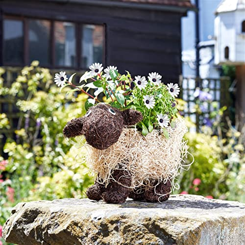 Smart Garden Shelley Sheep Rustic Rattan Natural Garden Planter