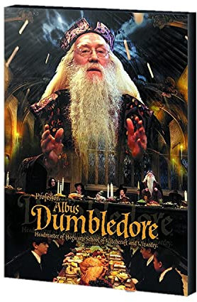 Harry Potter - Leinwanddruck (50 cm x 40 cm) (Weiß/Schwarz/Gold)