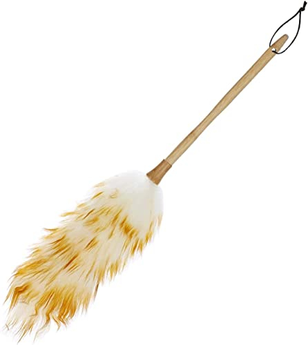 Ensemble plumeau plumeau plumeau outils de nettoyage antistatiques adaptés for la maison hôtel lit bureau voiture vêtements doux dépoussiéreur avec long manche en bois poignée plumeaux brosses