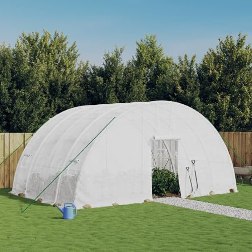 Gecheer Serra da Giardino, per Coltivazione protetta di Frutta Verdura e Piante, 6 x 4 x 2,85 m, in PE 140 g/m² e Acciaio zincato, con Porta avvolgibile e finestre Laterali, for Uso hobbistico