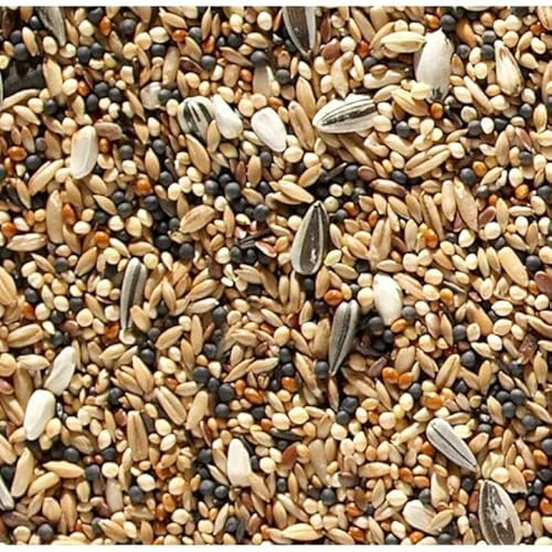 10 Kg Johnston & Jeff Favourite Mixed Canary Food – Soft, Digestible & High-Protein Seed Blend with Egg Biscuits – All Life Stages Bird Food