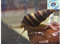 Topbilliger Tiere Raubschnecke Helena - natürliche Schneckenfalle 10x