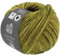 LANA GROSSA Cool Wool Vintage | Merinoklassiker mit Ton-in-Ton Farbeffekt | Handstrickgarn aus 100% Schurwolle (Merino extrafein) | 50g Wolle zum Stricken & Häkeln | 160m Garn FB 7361