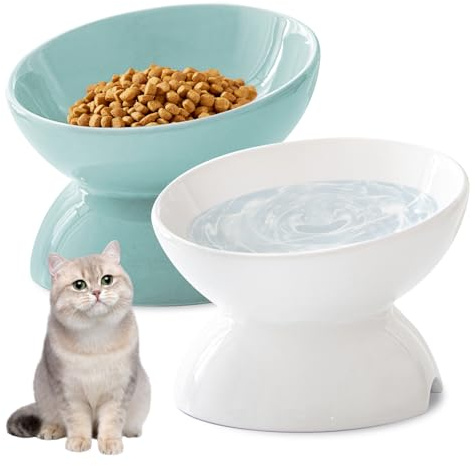 Gamelle Chat Surélevée en Céramique – Set de 2 Gamelle pour Chat Surélevée Antidérapante, Gamelle Ceramique Chat, Mangeoirs et Abreuvoirs pour Chats, Idéale pour Prévenir Les Vomissements