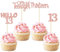 Gyufise 24Pcs Rose Gold Glitter 13th Birthday Cupcake Toppers Hello 13 Thirteen Cake Toppers Official Teenager Cupcake Picks 13th Birthday Party Cake Decorations Supplies