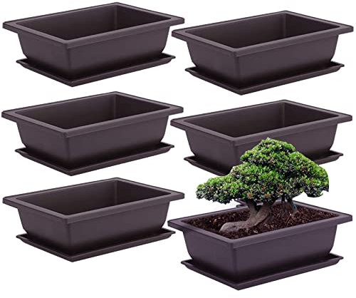 6 vasi per bonsai da allenamento con vassoio, ciotola per bonsai con sottovaso, vaso per fiori, piante grasse, vaso quadrato per bonsai, per giardino, soggiorno e ufficio (L)