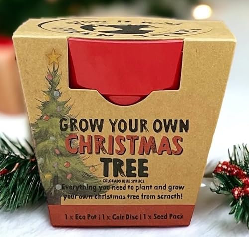 Grow Your Own Christmas Tree Seed Kit - Eco Growing Planting Pack - Gardening Gardener Gift - Family Kids Children Kraft Activity