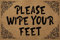 Doormat for Entrance Way Novelty Mats Indoor Decor Mats Kitchen Rugs Please wipe your feet