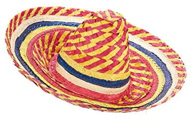 DEGUISE TOI - Sombrero Mexicain Multicolore Adulte - Sombrero - Taille Unique - Coloré - Accessoires pour déguisement - Paille - - Carnaval