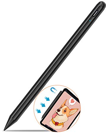 Stift für iPad Apple Pencil USB C, Stylus Pen für iPad 2018-2024, Präzise Kontrolle, Magnetische