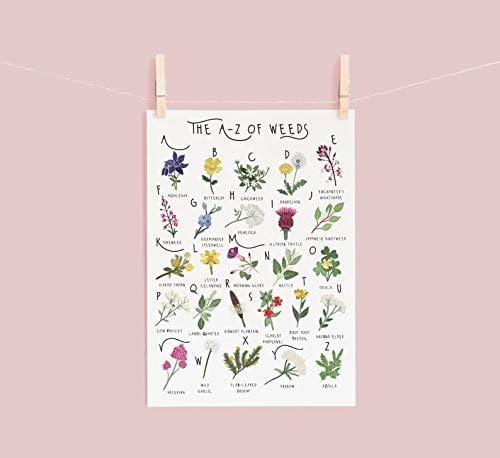 Inga Az Of Wildflowers Poster Wildflowers Botanical Poster Weed Identification Natural History Poster Plant Plant Gift Funny Gift Metal Signs 8x12 inch