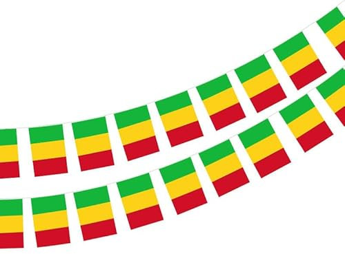 Bandera de Senegal 40 unidades bandera de Senegal, guirnalda Senegal 11.4M, banderines Senegal, bandera Nacional 14 x 21 cm para Decoraciones de Bares