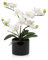 Crystals Artificial Orchid Flower in Pot – Realistic Faux Orchid Plant Decoration for Home, Office, or Event – Elegant White Floral Display – No Maintenance Required (Design 1)