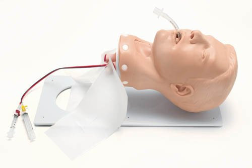 Deluxe Airway Management Trainer mit Gestell Erwachsener