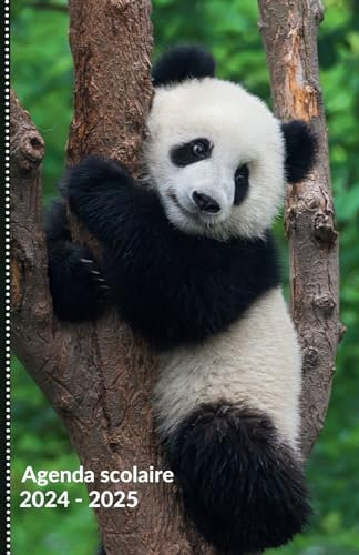 Agenda Scolaire Panda 2024 2025: Planificateur journalier pour primaire, collège, lycée d'août 2024 à juillet 2025 - Cahier de texte pour noter les devoirs - Format A5 - Animaux sauvages
