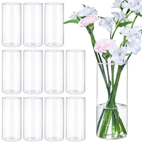 TBWIND 12pcs 8 Inch Clear Glass Cylinder Vases for Centerpieces