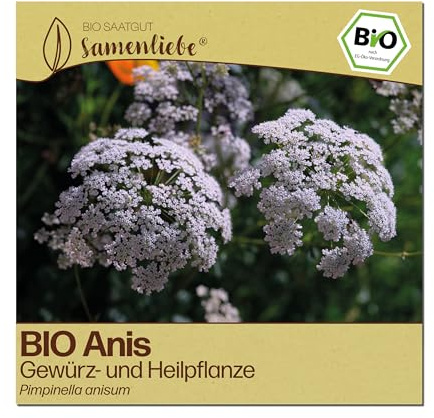 Samenliebe BIO Anis Samen | Gewürzblume - Heilpflanze - samenfestes BIO Saatgut