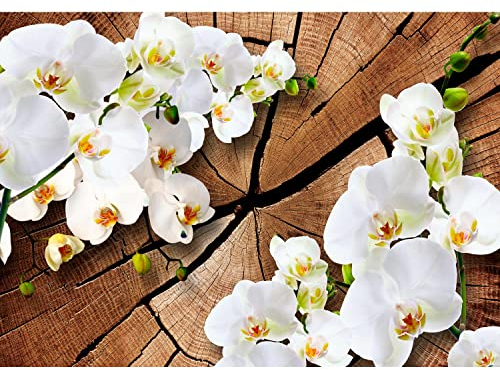 Runa Art Fototapete 3D Orchidee Holz 352 x 250 cm Vlies Tapeten XXL Moderne Wandtapete Wohnzimmer Schlafzimmer Weiss 9057011b