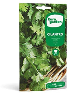 Eurogarden - Semillas de Cilantro, Planta culinaria aromática, 15 g - 1712
