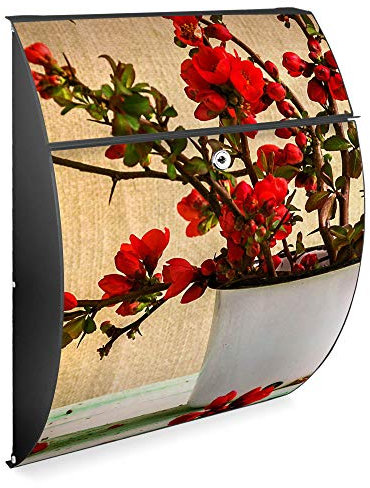 banjado Design Briefkasten - Modell Riviera 46x33,5x13cm groß - verzinkter Stahl anthrazit - Postkasten Öffnungsstopp großer A4 Einwurf Zylinderschloss 2 Schlüssel - Motiv Berberitzen