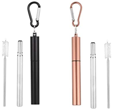 Sonwaha Creative Portable Straws Reusable Telescopic with Cleaning Brush Key Ring Metal Housing Pack of 2