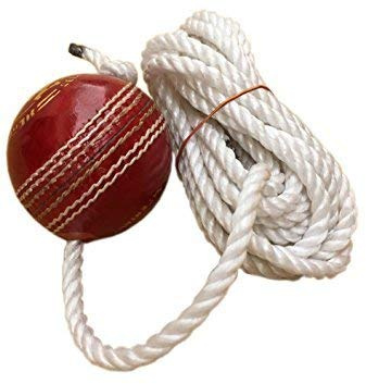Cricket Shot Practice Hanging Ball, and Knocking Cricket Ball