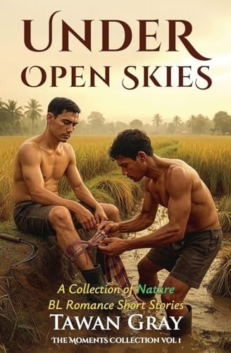 Under Open Skies - A Collection of Nature BL Romance Short Stories (The Moments Collection, Band 1)