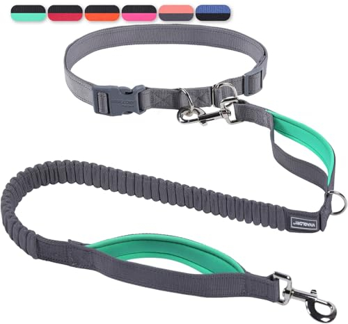 VIVAGLORY Joggingleine Hunde Bungeeone Hundeleine Joggen, Laufleine mit Schlaufe & Gepolstertem Griff für Hausleine Joggingleine, Bungee & Gummizug für Hunde, M, Grau/Türkis