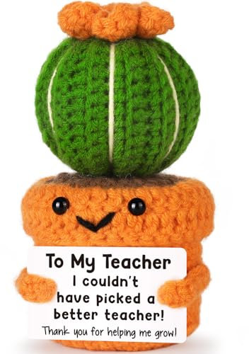 Funny Cactus Teacher Appreciation Gifts for Women Men Thank You Teachers Week Gifts End of Year Graduation Gift for Teacher Mentor Math Dance, Handmade Emotional Positive Crochet Cactus for Teachers