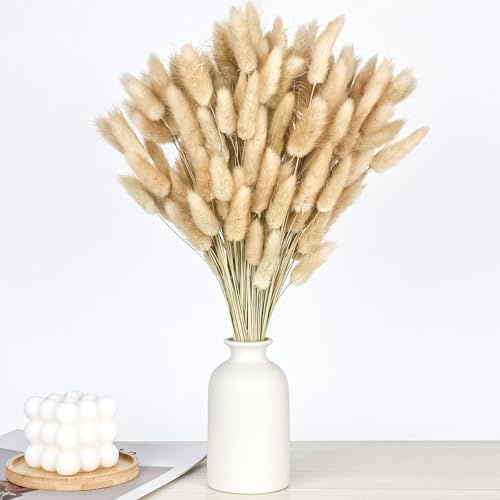 Pampasgrasdekoration 120 Stück Trockenblumen Klein Pampasgras 30cm Hasenschwanz Trocken Blumen für Vase Hoteldekoration Deko (Naturfarbe)
