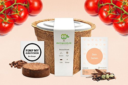 Seed Evolution GmbH Kit de culture tomate de cerisier