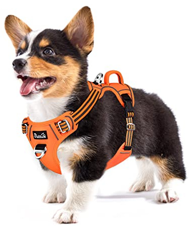 Eyein Hundegeschirr für Hunde mit 2 Clips und leicht zu bedienendem Griff | Anti Zug Brustgeschirr für mittelgroße Hunde, Verstellbare & reflektierende Geschirr für tägliches Training (Orange, M)