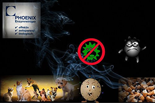 Phoenix Enzymreiniger d'élimination des odeurs de nicotine - 1 x 20 g - Pour 1 à 1,5 l - Nettoyant enzymatique (2, 20 g)