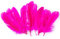 Pack of 10 Natural Dyed Arts & Craft 20cm Feathers - Choose (12 Colours) (Hot Pink)