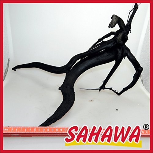 SAHAWA® Moorwurzel Größe 3 30-35 cm, Moorkienwurzel,rote Moorwurzel, Moorkienholz, Garnelenbaum