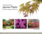An Illustrated Guide to Japanese Maples for Garden Planting and Patio Pots by Neil Kenney (1-Apr-2015) Paperback