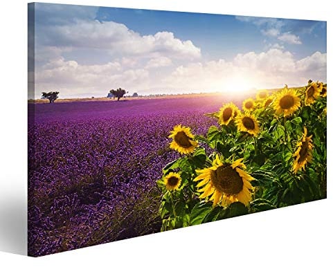 Bild Bilder auf Leinwand Lavendel und Sonnenblumen Felder, Provence Wandbild, Poster, Leinwandbild NTG