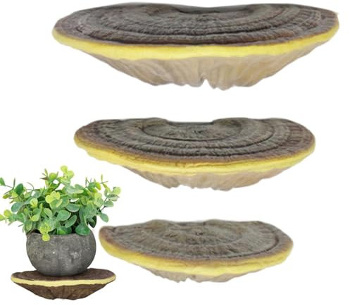 WOGXN Pilzregal Wanddekoration,Wandhalterung Pilzregal - 3 Stück Wandregal mit schwebendem Pilz,Haushaltsorganisation, Standraum, Eckdekoration für Schlüssel, Geldbörsen, Haarnadel