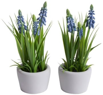 Botanic-Haus künstliches Muscariarrangement/Traubenhyazinthe im grauen Zementtopf Farbe: blau (2 Stück)