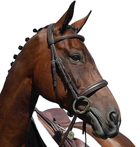 Collegiate Syntovia+ Padded Raised Cavesson Bridle, Brown, Cob