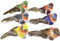 SHANGHh 6 PCS Artificial Birds, Bird Ornaments, Decorative Fake Birds, Artificial Bubble Bird for DIY Crafts, Garden, Christmas Tree Ornament, Home Party Decors