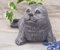 STEINFIGUREN SPICKER Steinfigur Robbe 205/1 Gartenfigur Steinguss Tierfigur Basaltgrau