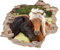 Little Deco 3D Wandsticker Wandaufkleber Wandtattoo Kinderzimmer Mädchen Pferd Wanddeko Spielzimmer Wandbild Poster Tapete Schlafzimmer Kleinkind Horse DL639-9