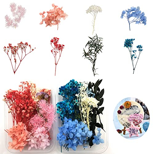 CYIOU 2 Kisten Natürliche Getrocknete Blumen Mini Trockenblumen Bunt Gemischte Gepresst Blumen Blätter Set für DIY Karten Basteln Kerze Handwerk Epoxidharz Scrapbooking Dekoration