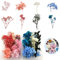 CYIOU 2 Kisten Natürliche Getrocknete Blumen Mini Trockenblumen Bunt Gemischte Gepresst Blumen Blätter Set für DIY Karten Basteln Kerze Handwerk Epoxidharz Scrapbooking Dekoration