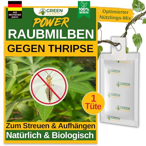 GREEN GUARDIA Power Raubmilben gegen Thripse – 1 Tüte -Biologisches Mittel zur effektiven Thripse Bekämpfung für Zimmer- & Zierpflanzen sowie Canna. – umweltfreundlich,chemiefreie Mittel