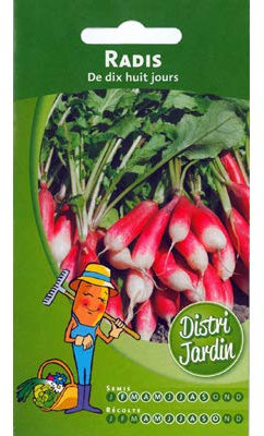 Radis de dix huit jours