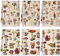 Boyiee Set mit 6 Blumen Pilz Küchentücher Vintage Wald Geschirrtücher Wildblume Rustikale Geschirrtücher saugfähige Floral Geschirrtücher 61 x 40,6 cm Handtücher für Bauernhaus Küche Badezimmer