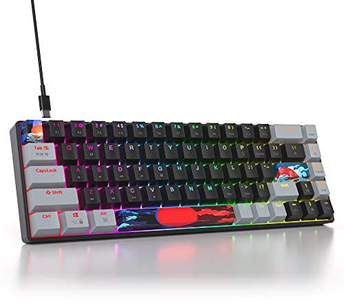 iTastatur 65% Mechanical Keyboard 68-Key Wired Gaming Keyboard with Red Switch RGB Lighting Effect PBT Keycaps Ultra-Compact Mini Keyboard Suitable for Win/Mac(68 Dark)